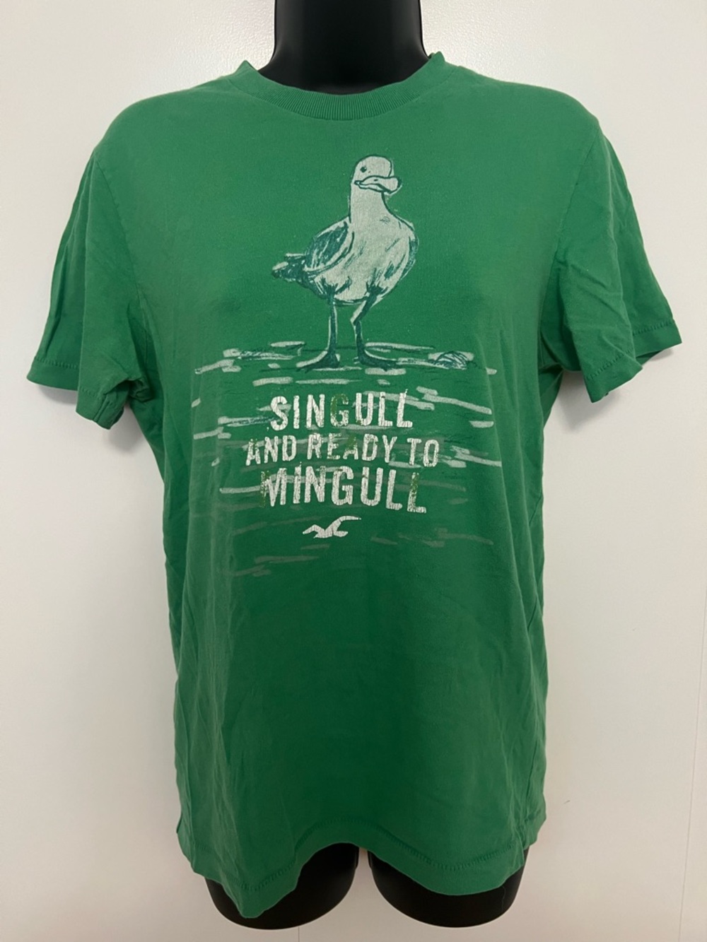 Hollister Green Seagull Graphic Short Sleeve Tee -Cotton
